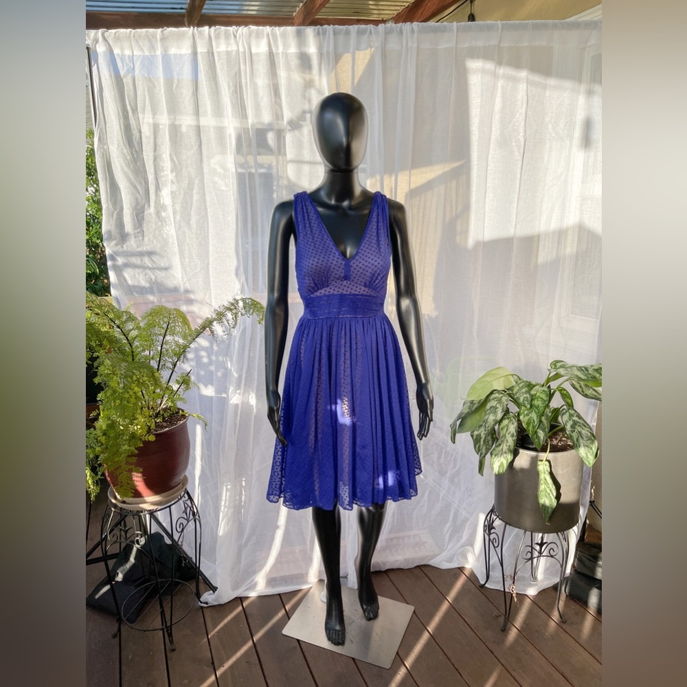 Anthropologie HD in Paris Blue Clip Dot Dress (6)